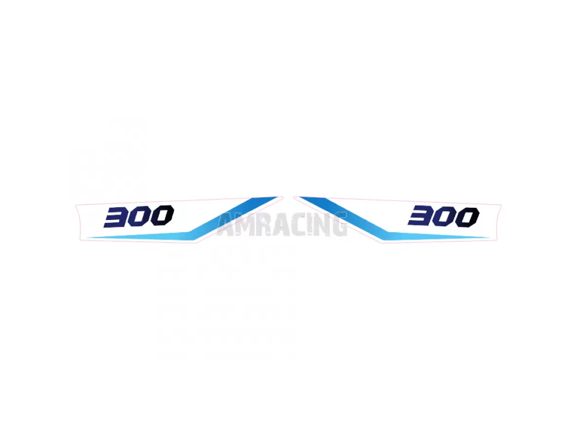 KIT DE ADHESIVOS MY23 CIL 300